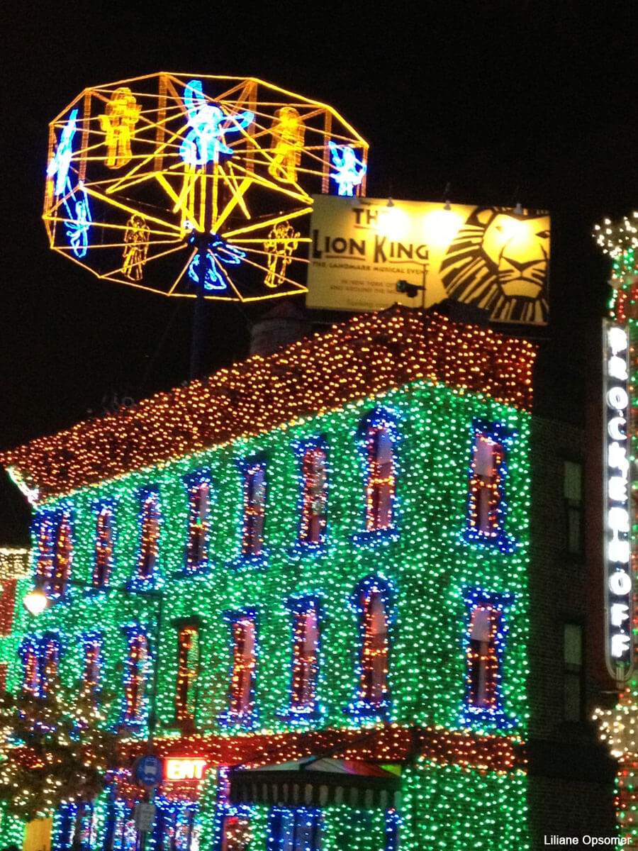 What Makes Disney World's Osborne Family Spectacle of Dancing Lights So