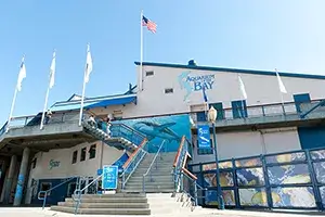 Aquarium of the Bay: General Admission Ticket