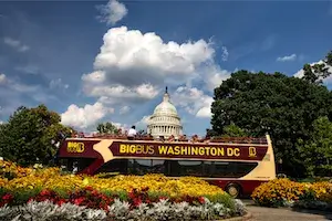 Big Bus Washington D.C. Hop-On, Hop-Off Tour: 72-Hour Explore Ticket